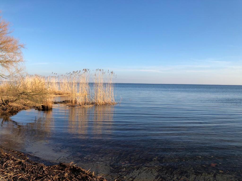Ferienwohnung Seeblick - Insel Usedom Balm Εξωτερικό φωτογραφία